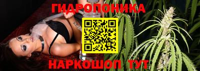 прущие грибы Мариинск